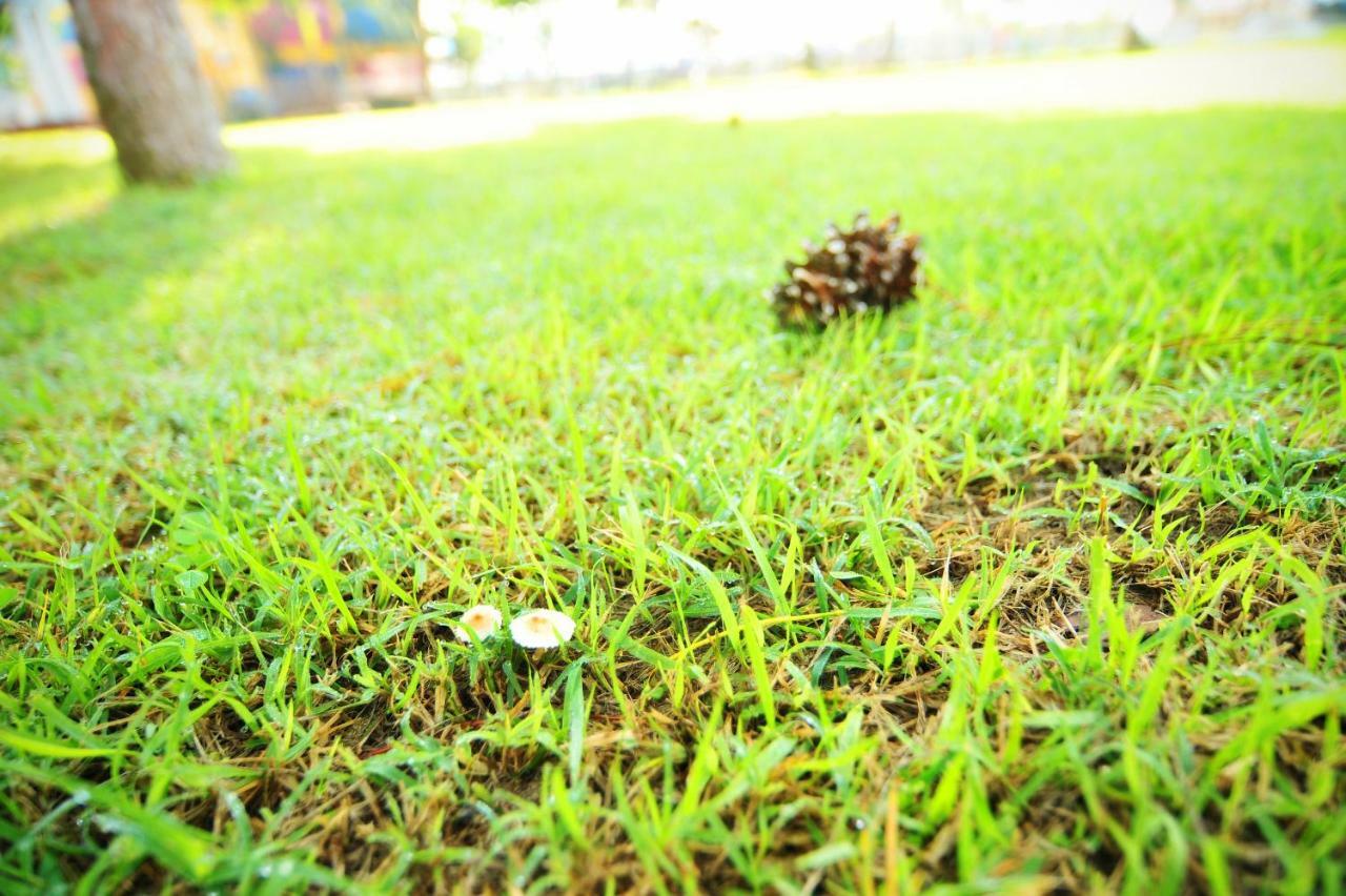 Sungbo Youth Hostel Mungyeong Dış mekan fotoğraf